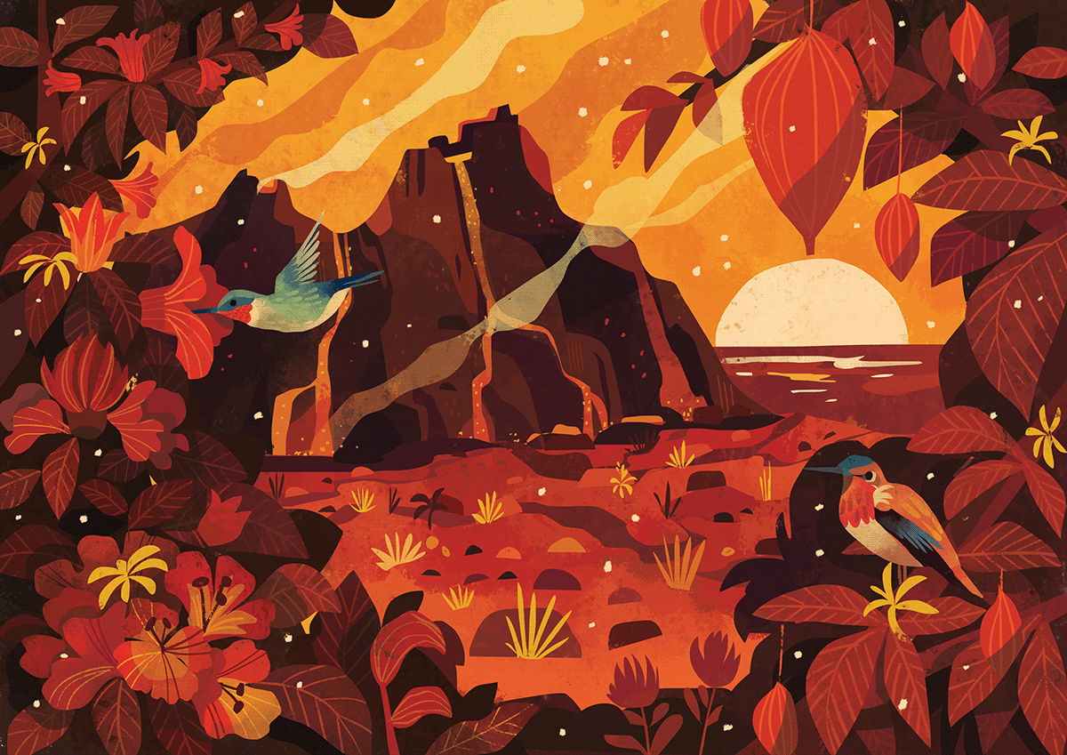 Hawaii Illustrations by Chaaya Prabhat