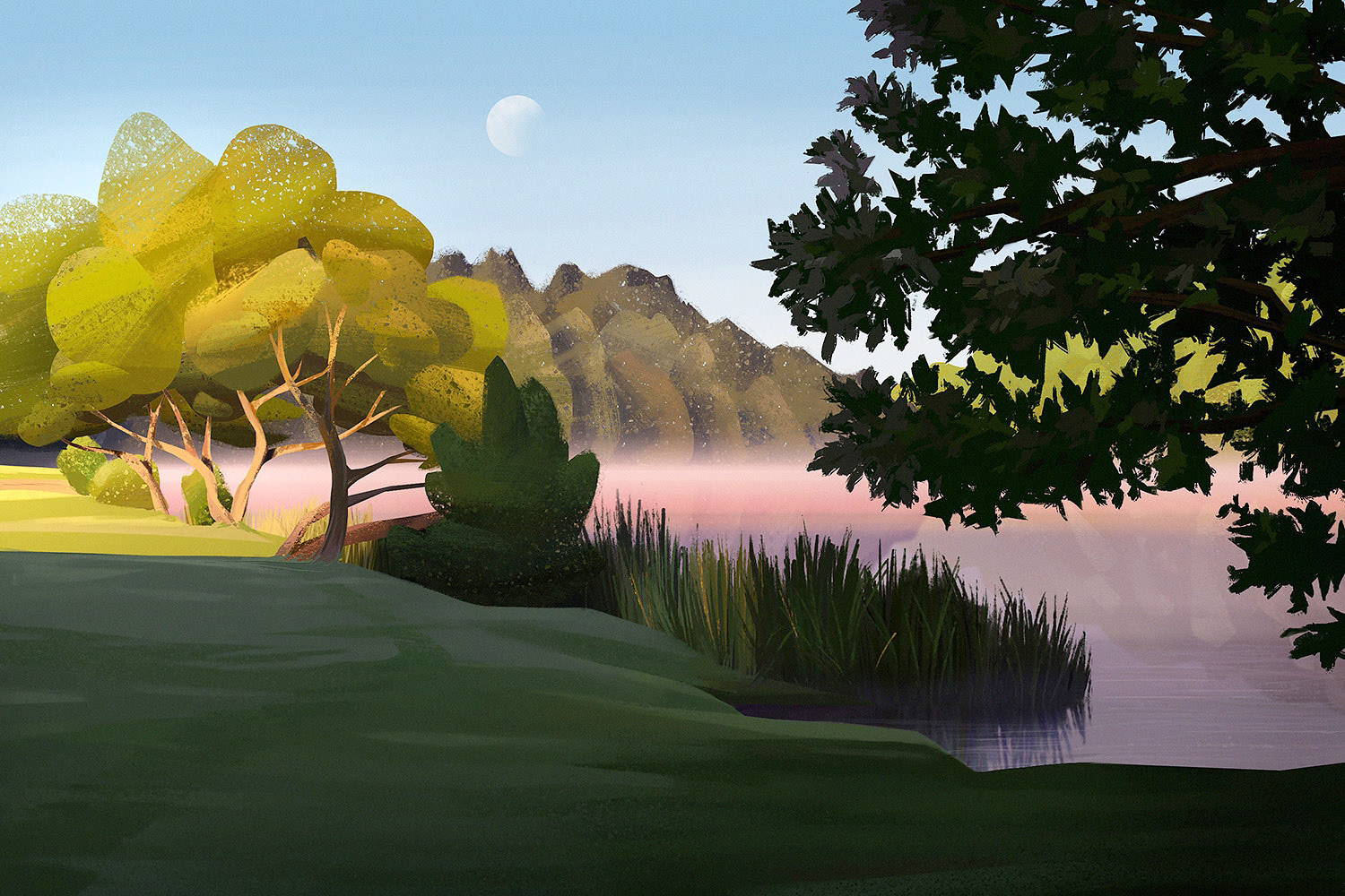 Belarus Nature Illustrations by Ksenia Lisouskaya