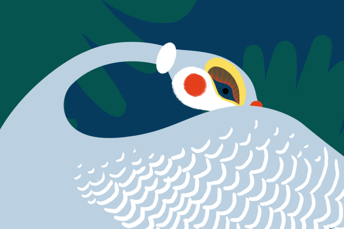 Brise Tropicale by Studio Fréro