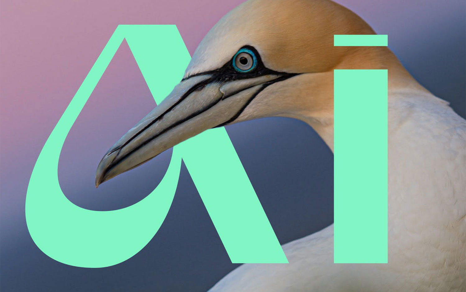 Gunter Display Font by Graphic Assets