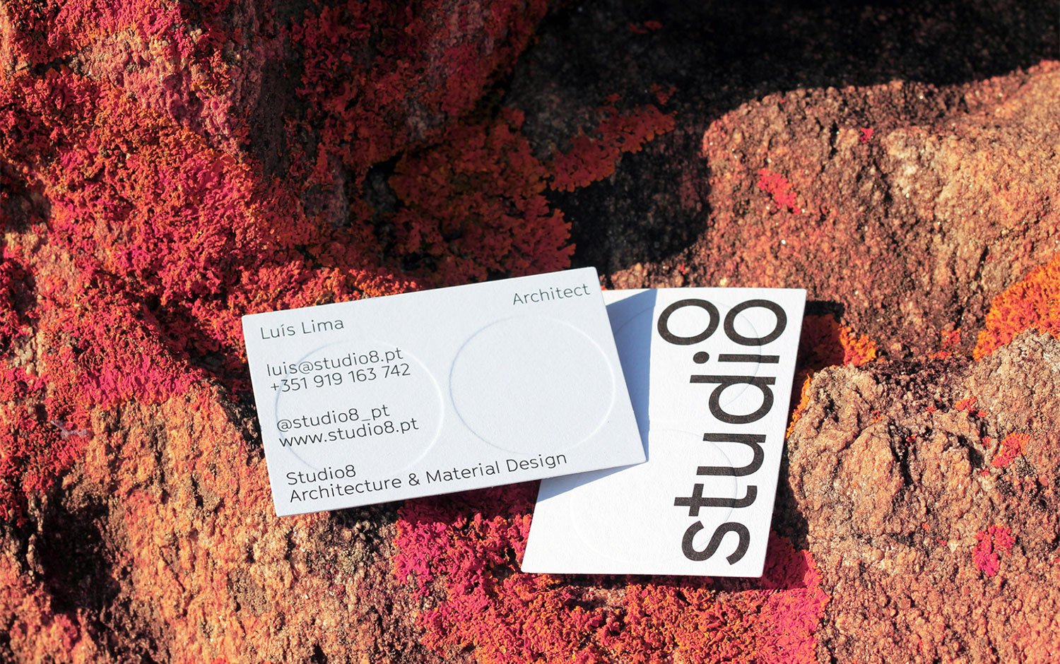 STUDIO 8 by Yucca Studio