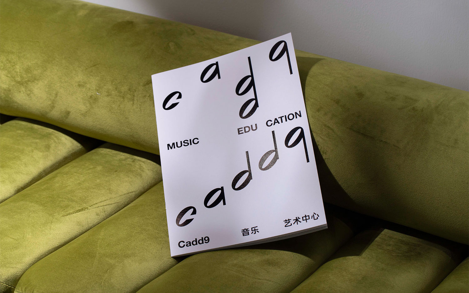 Cadd9 by Zhenxing Shi