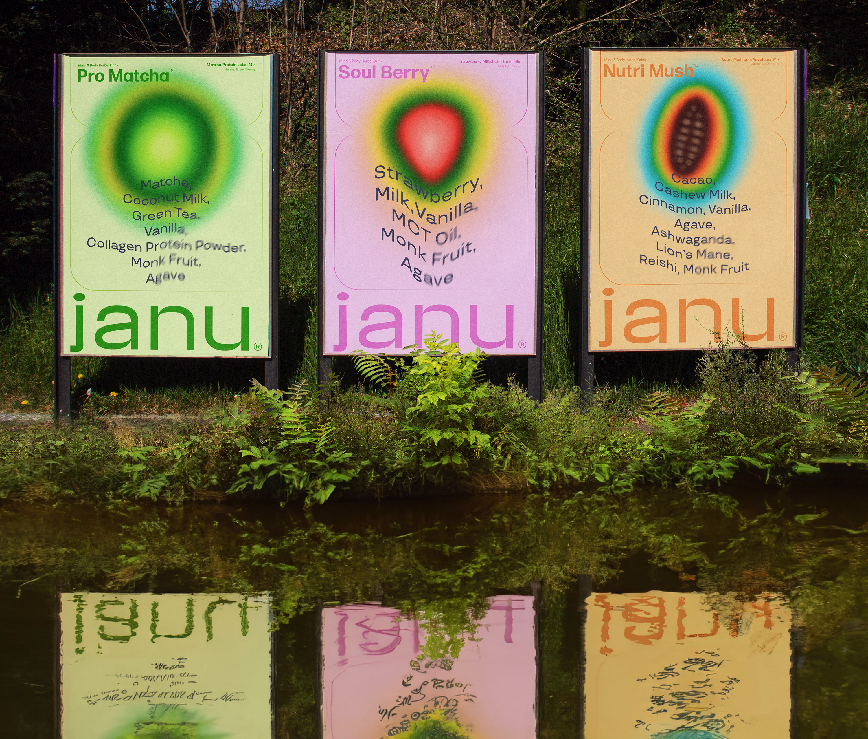 Janu cover image
