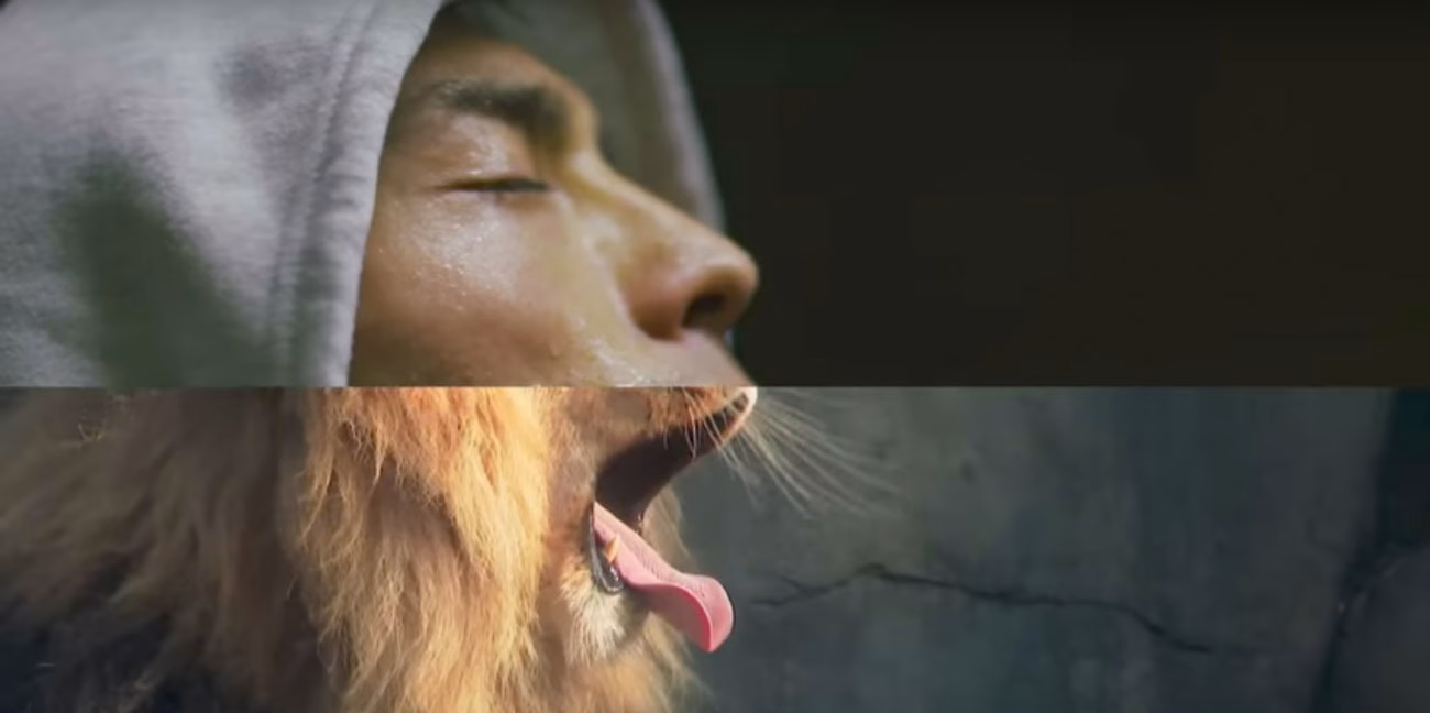 Cassius - Go Up ft Cat Power & Pharrell Williams cover image
