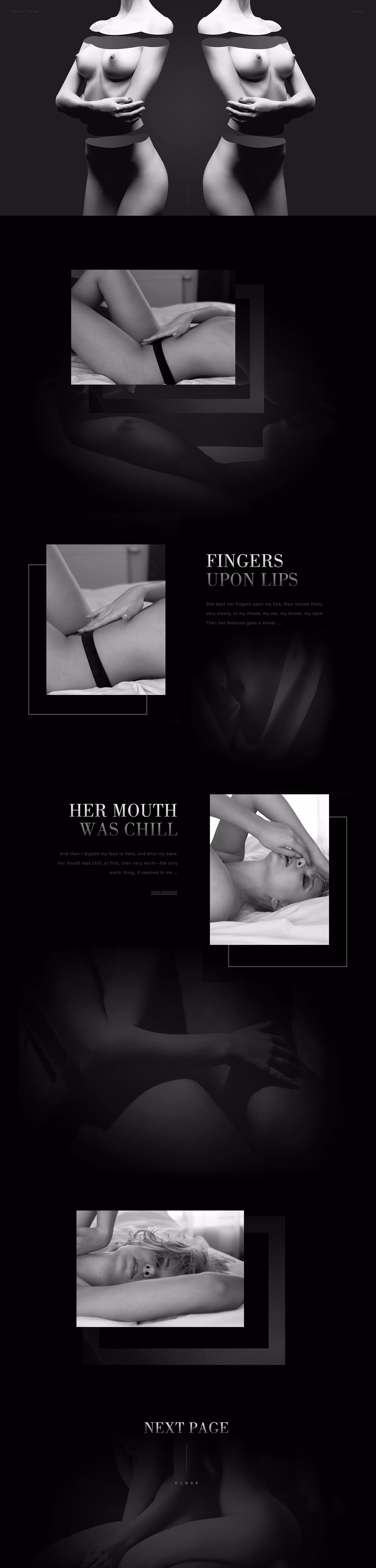 Voluptuous cover image
