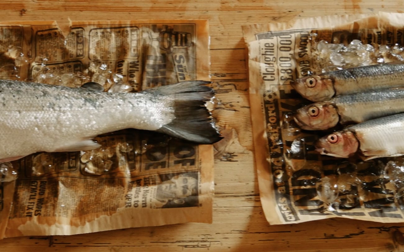 Fish Story cover image
