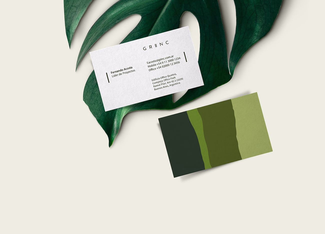 A white business card with black text rests on a large green leaf next to a color palette of various green tones.