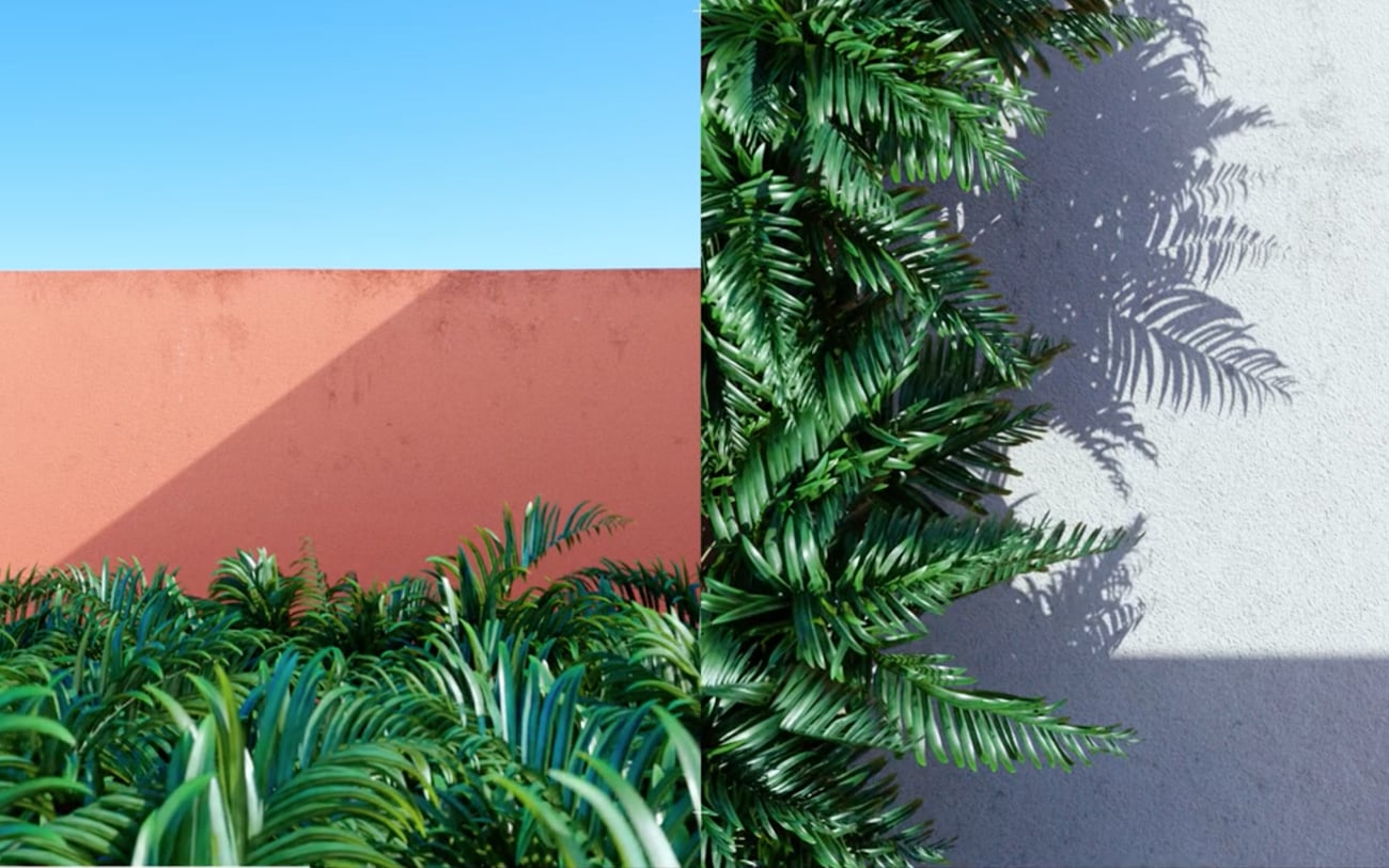 Vegetation cover image
