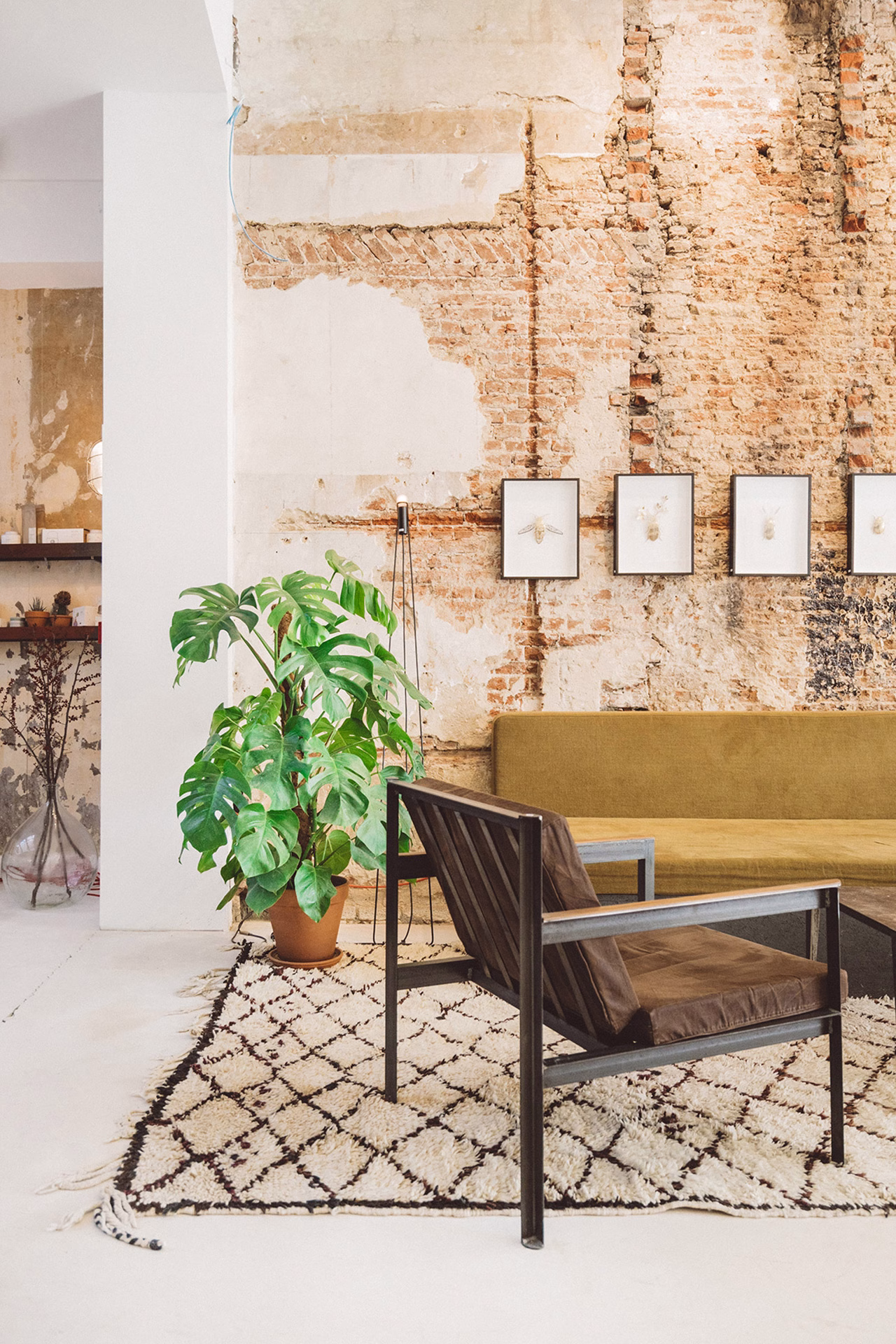 A textured brick wall serves as a backdrop for a green plant, metal-framed chair, and soft, patterned rug.
