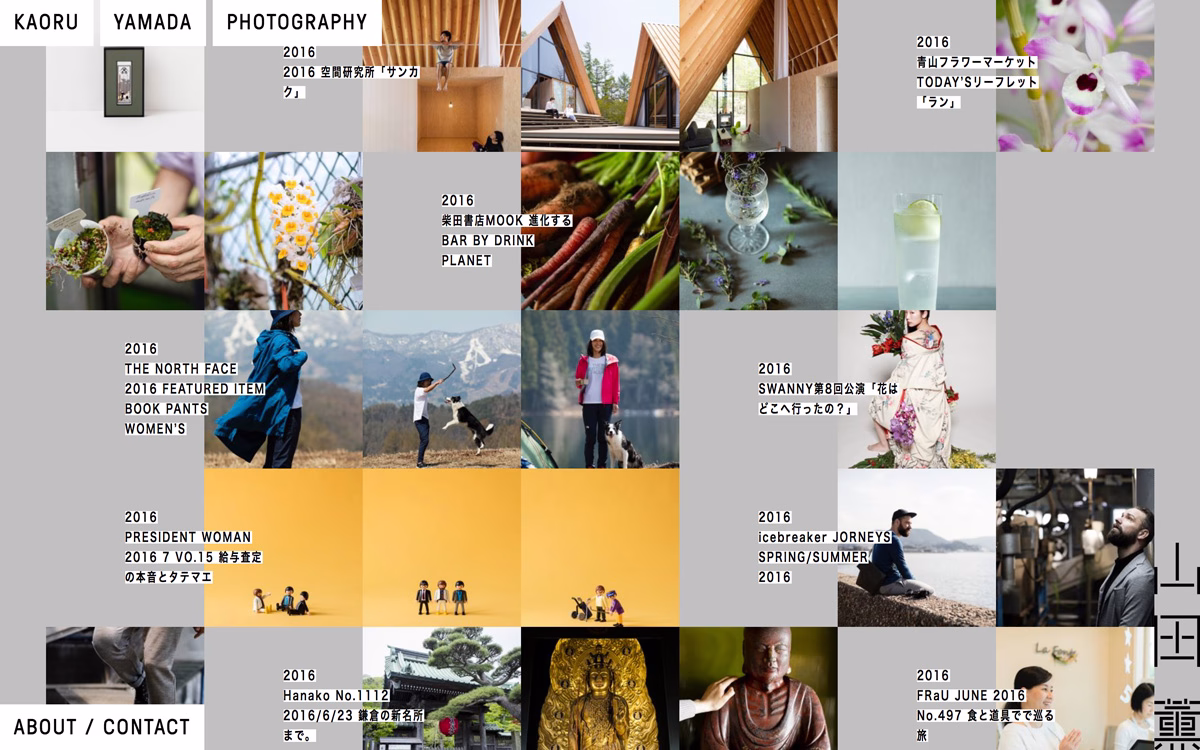 A grid of diverse photographs showcasing nature, fashion, and architecture in various colors and formats.