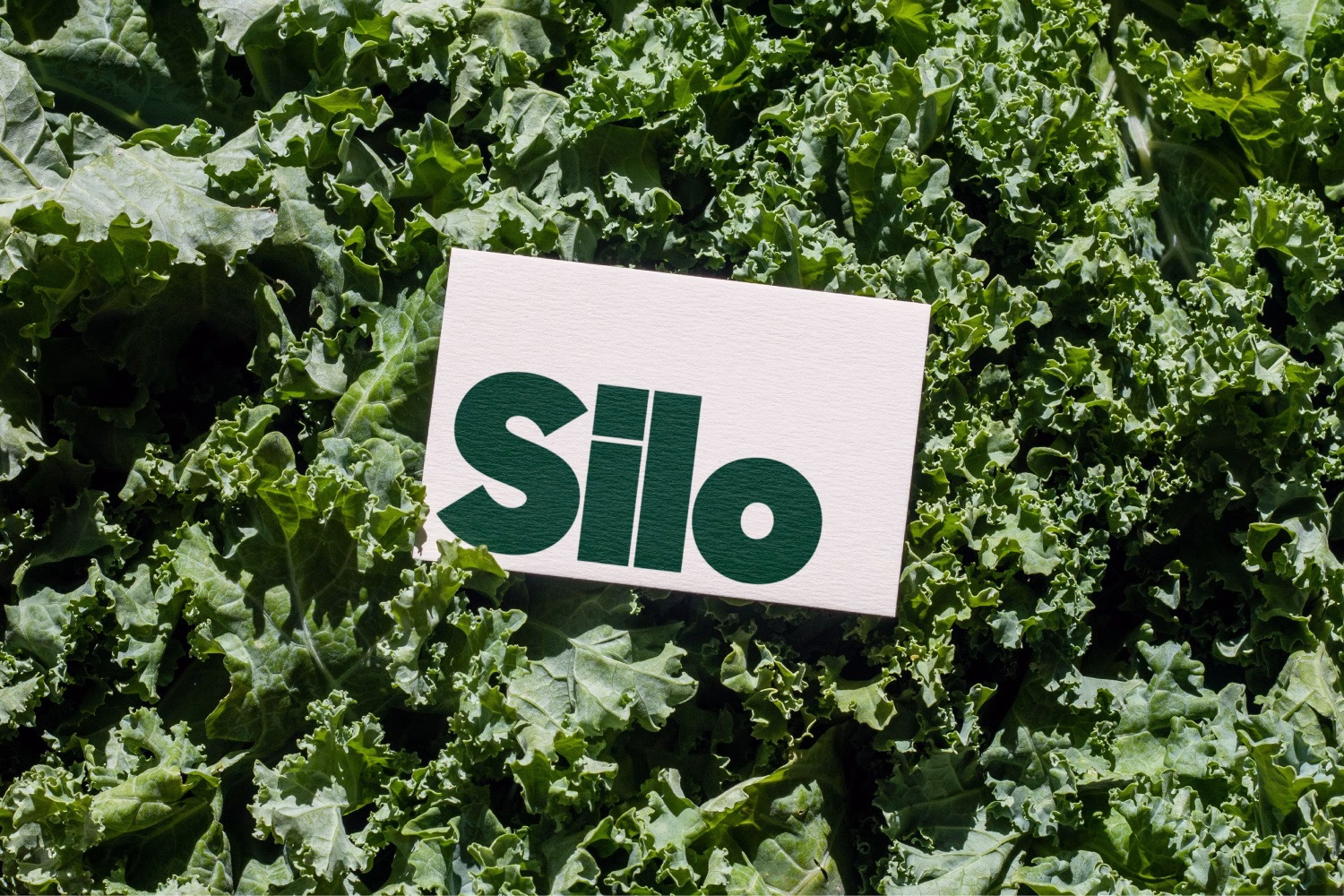 Silo rebrand cover image