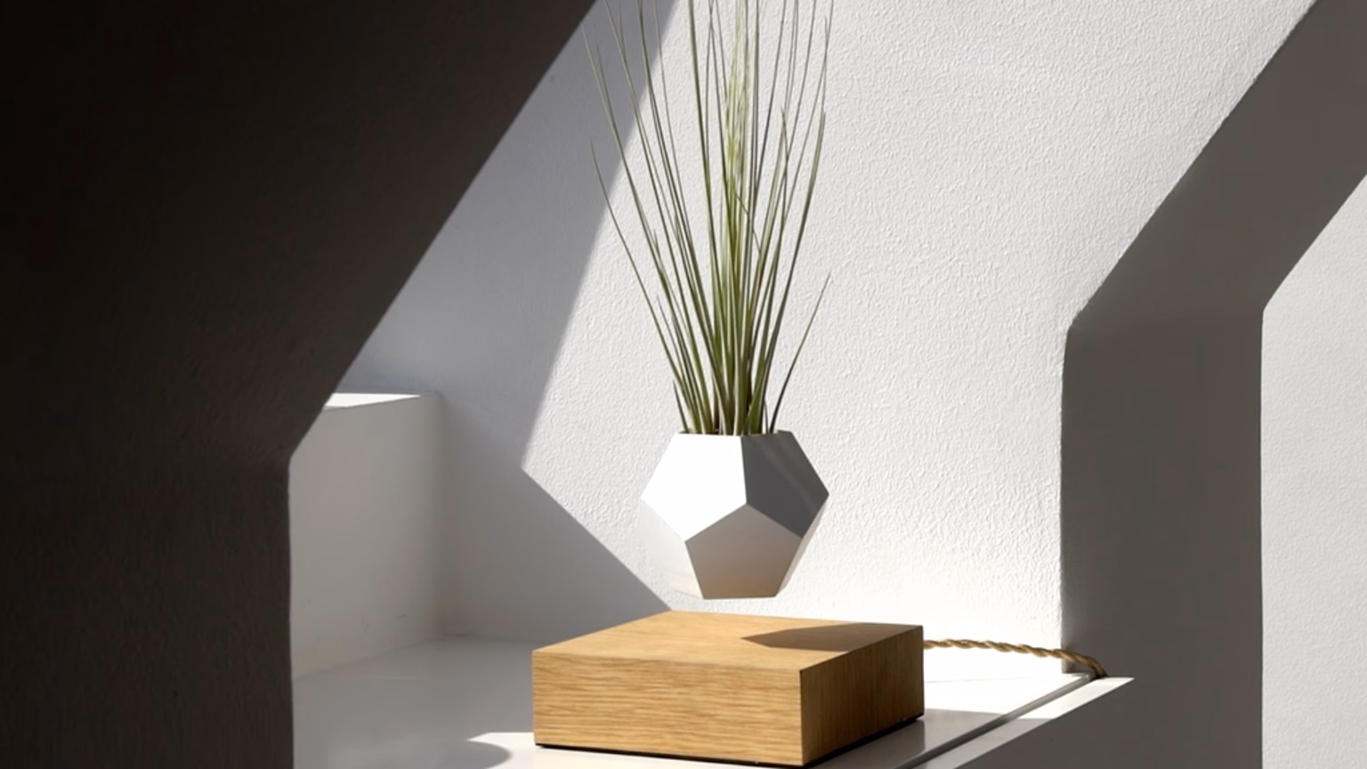 A wooden base supports a geometric white planter with greenery, set against a softly lit, textured wall.