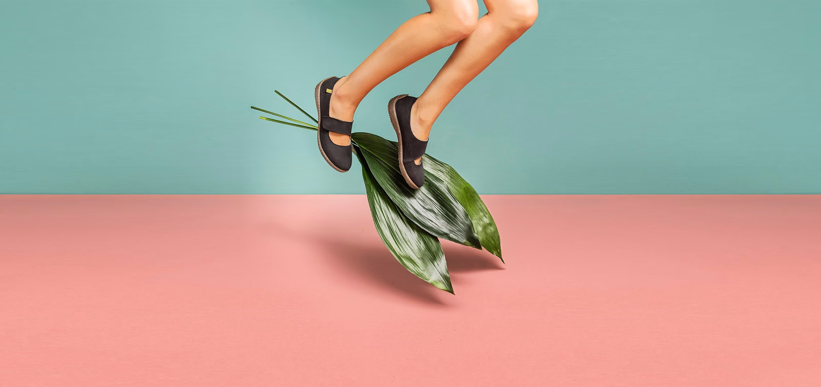 A person’s legs in black shoes hover above large green leaves on a pink background with a teal wall.