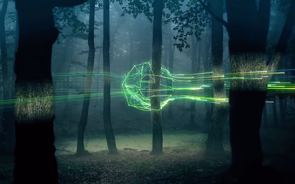 A misty forest scene featuring slender trees, with vibrant green digital lines intersecting through the underbrush.