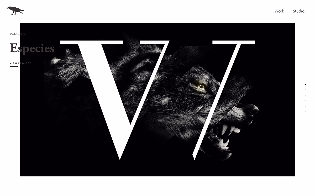 A striking black and white design featuring a wolf's head and large, bold typography overlay.