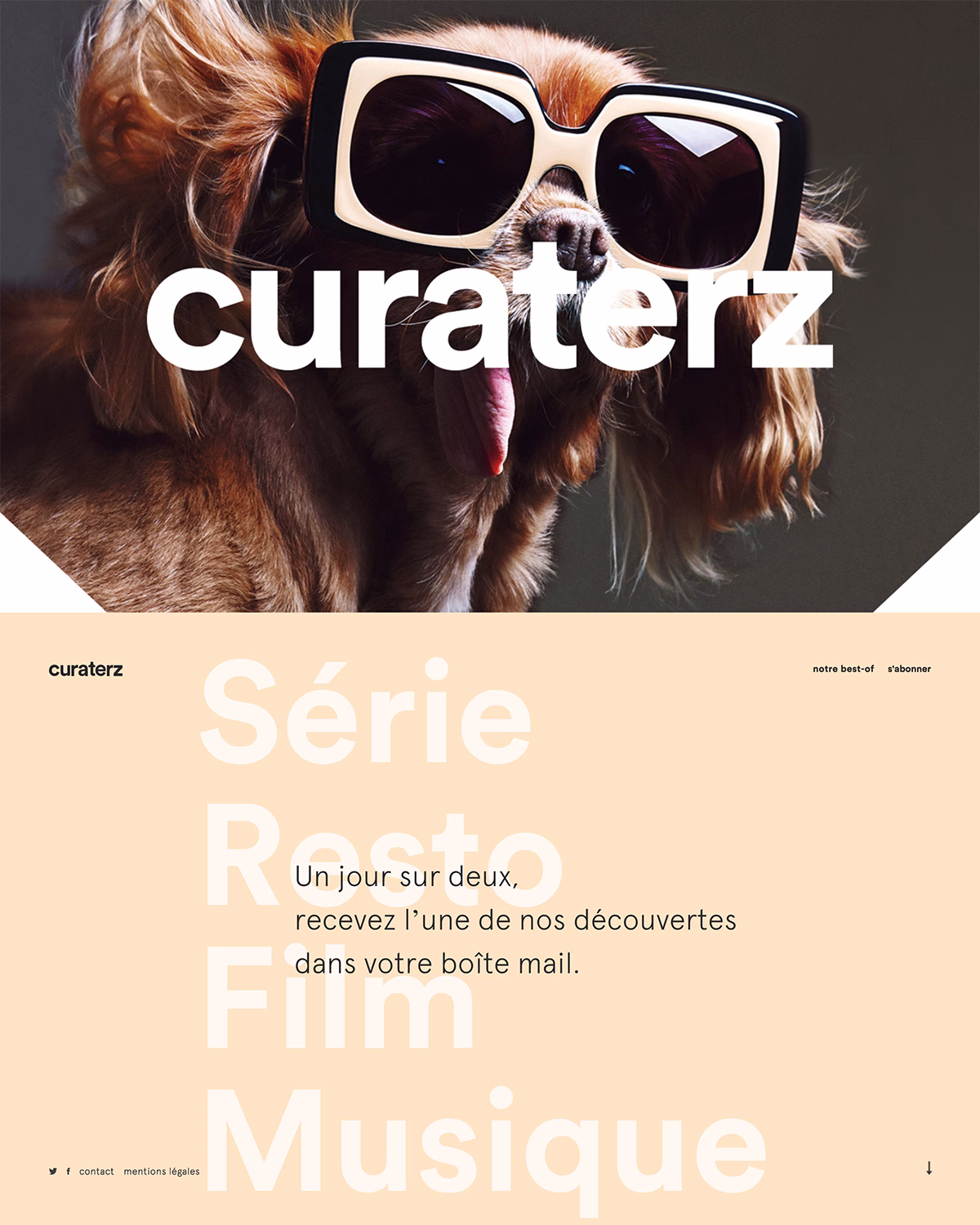 A spirited dog with long fur wears oversized black-and-white sunglasses against a dark background, with text overlay.