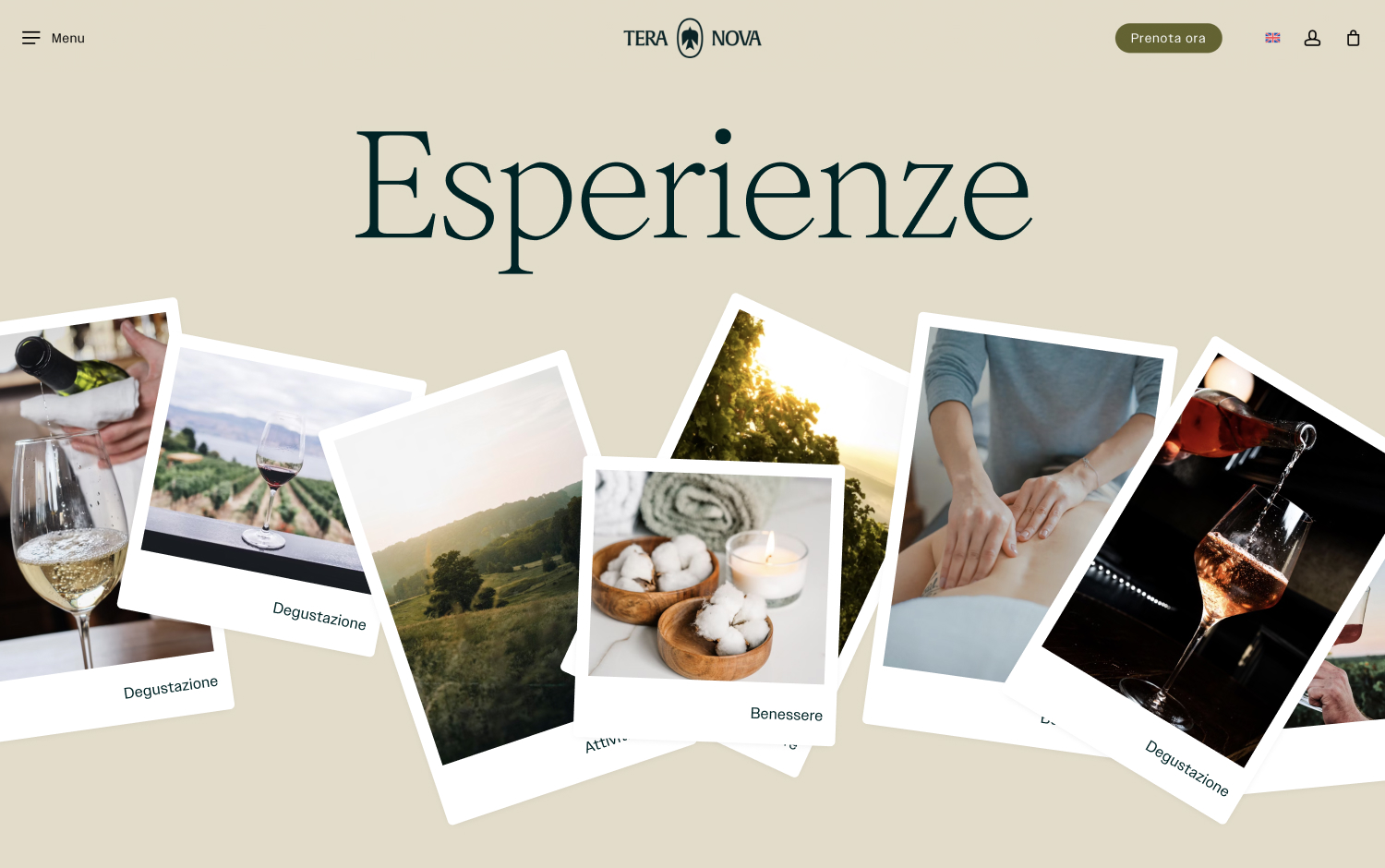  promoting a tailored experience.