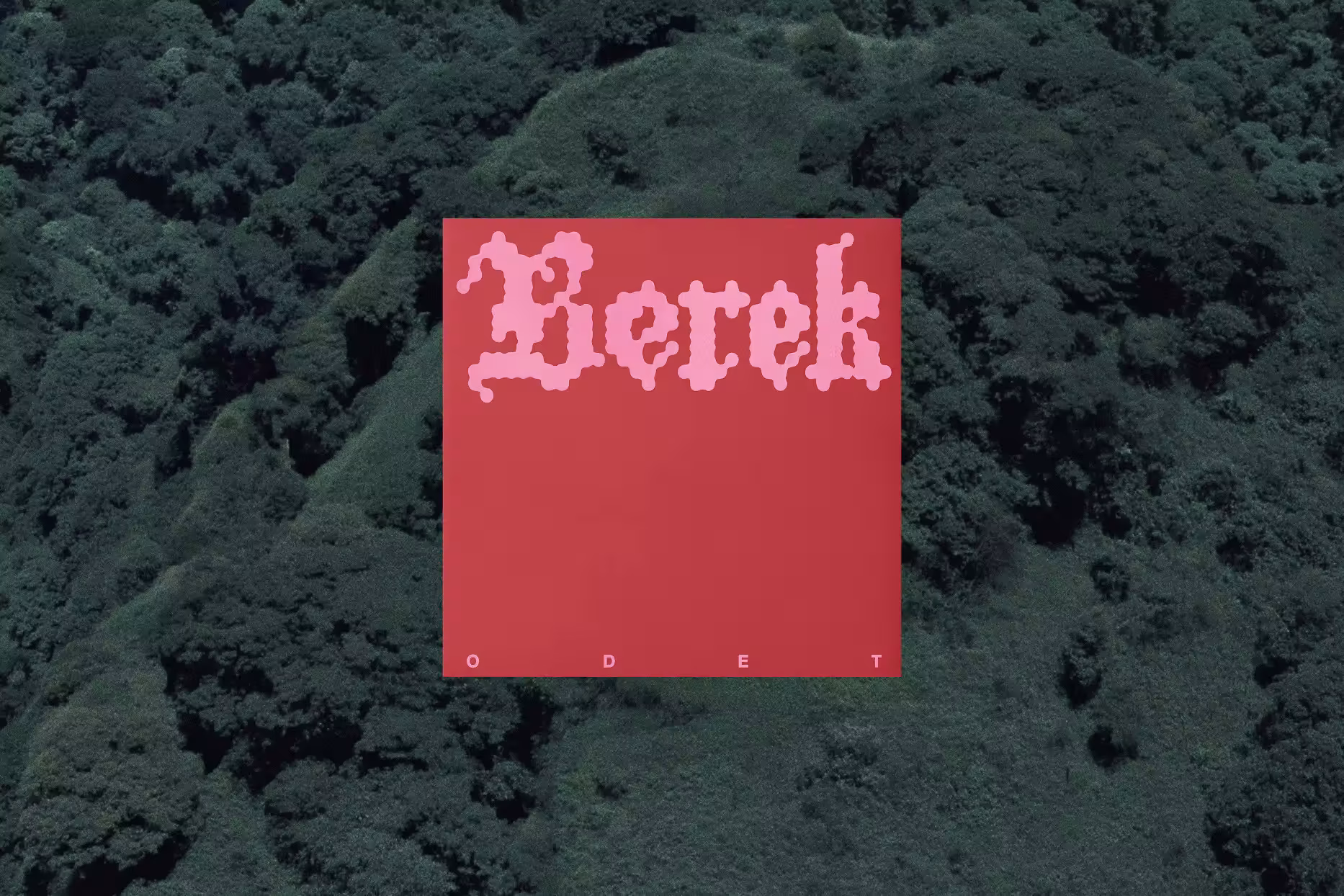 cover image Image