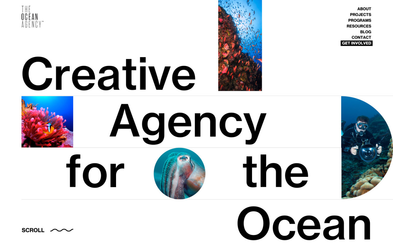 "Creative agency for the ocean" with marine images around the text.