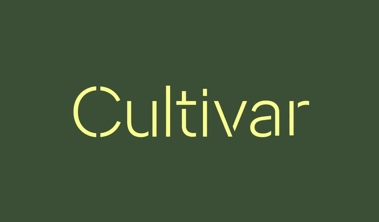 Cultivar cover image