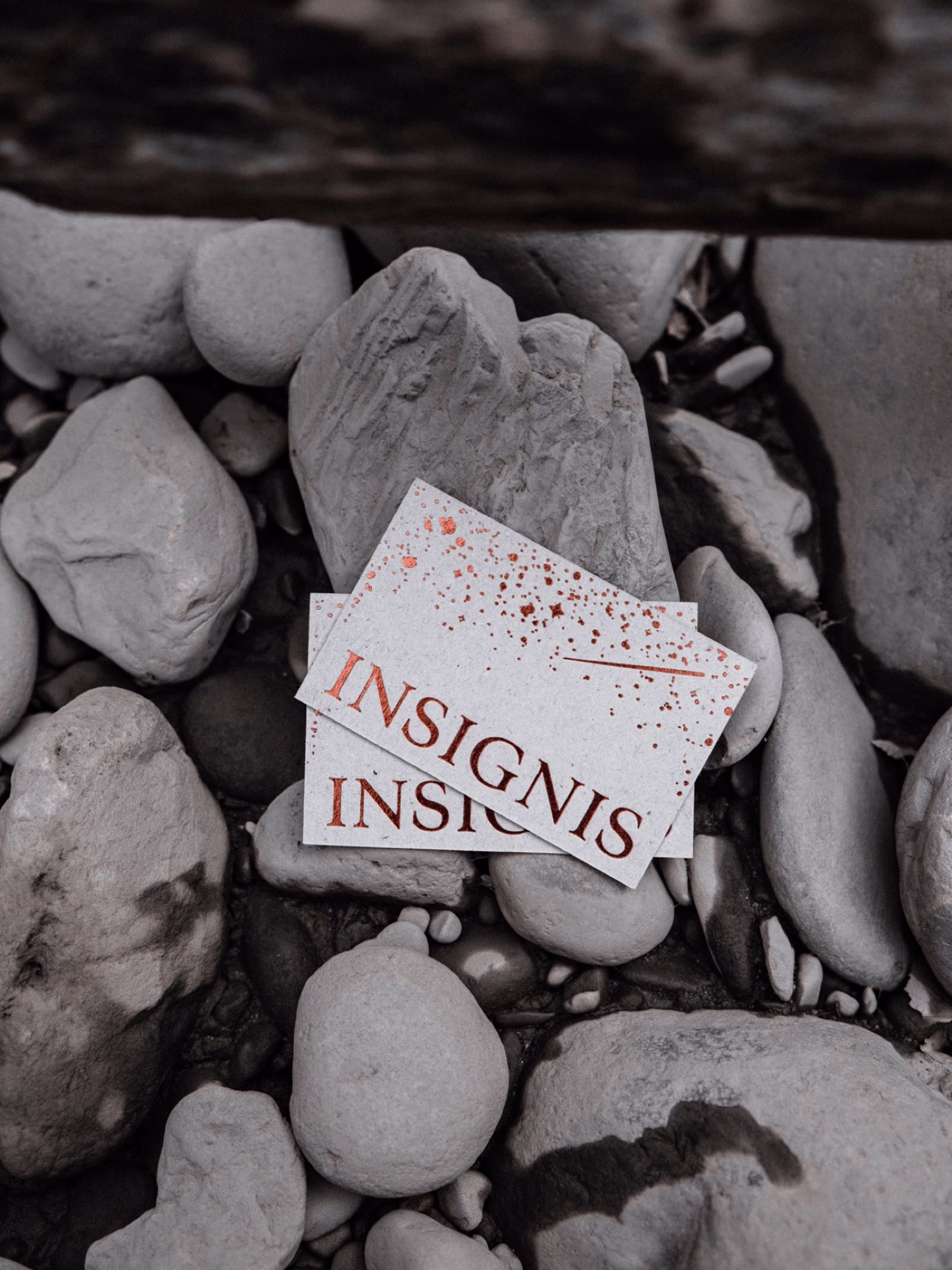 Insignis cover image