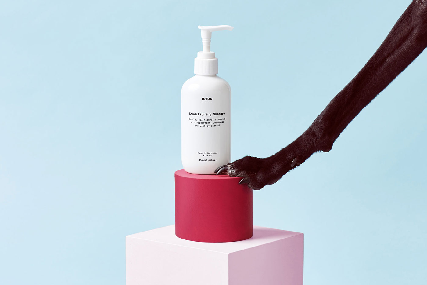 Interviewing Mildred & Duck cover image