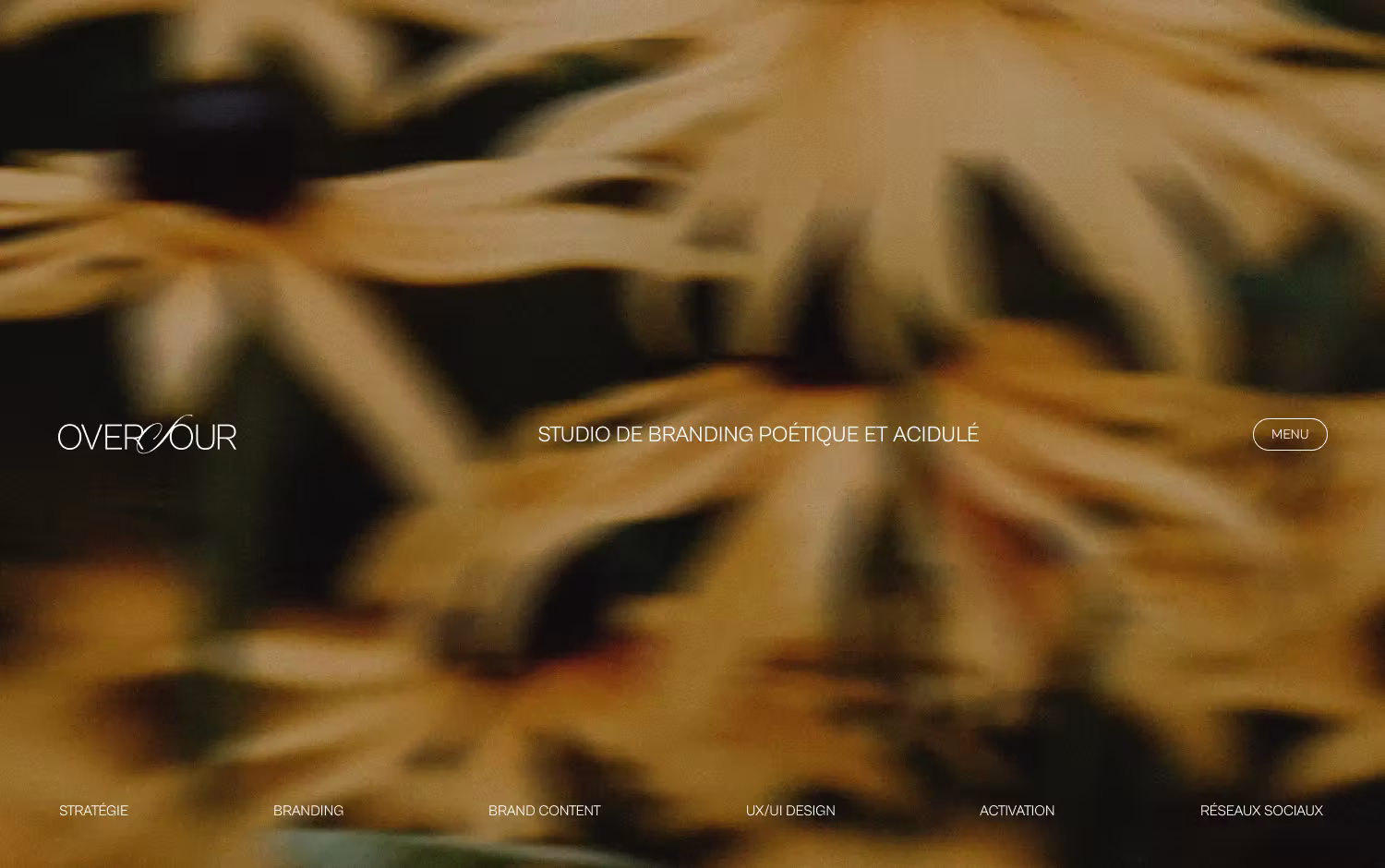 cover image Image