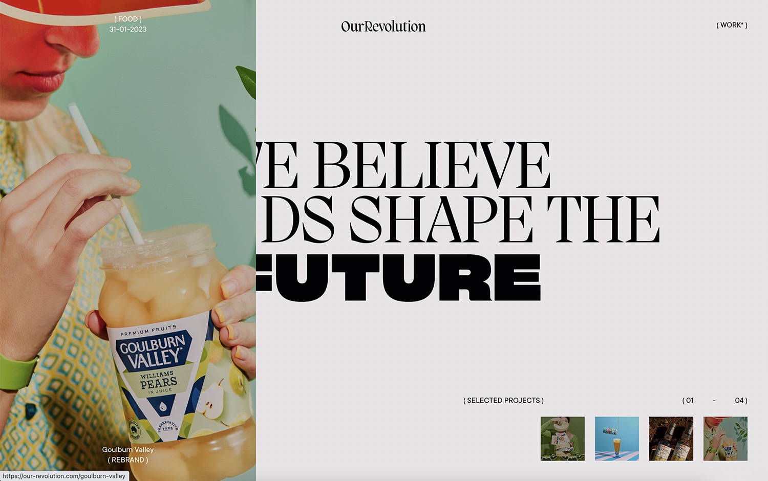 Our Revolution cover image