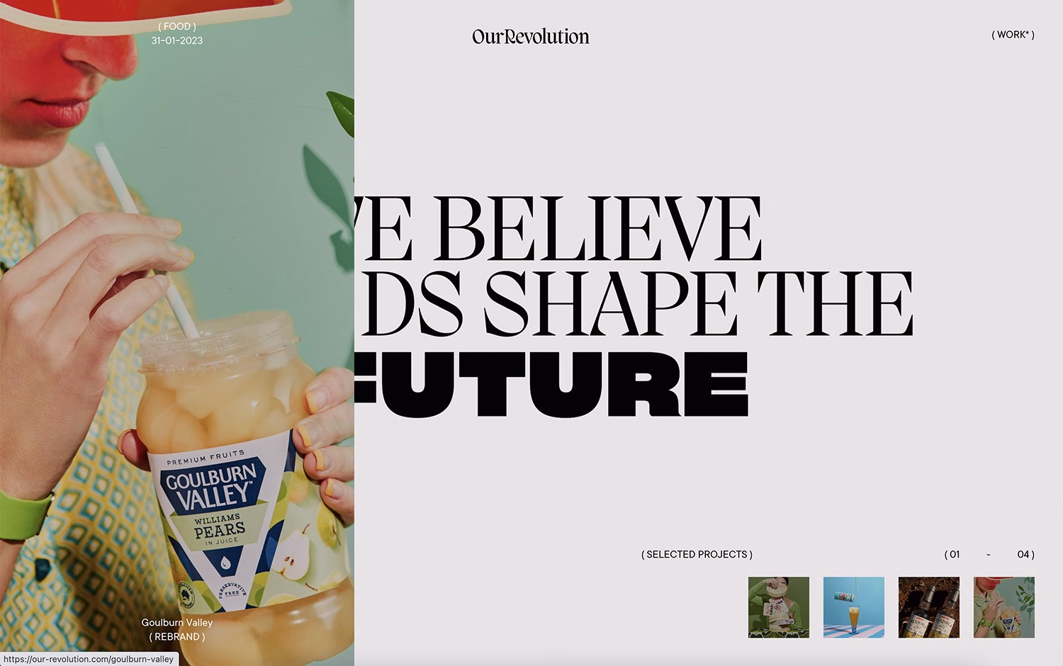 Our Revolution cover image