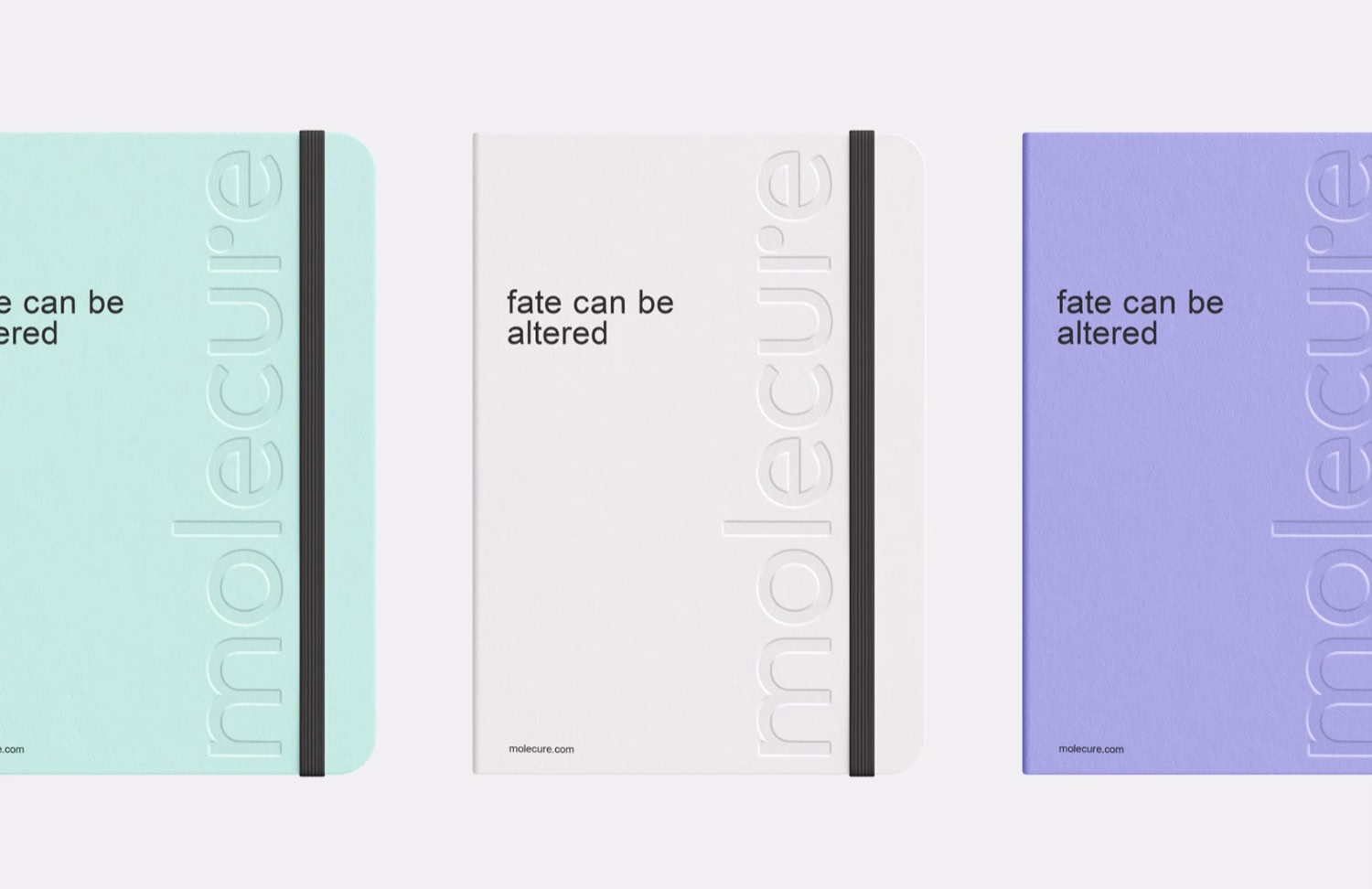 Molecure cover image