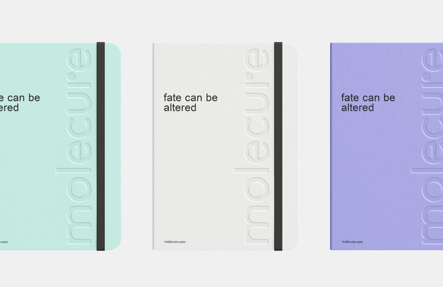 Molecure cover image