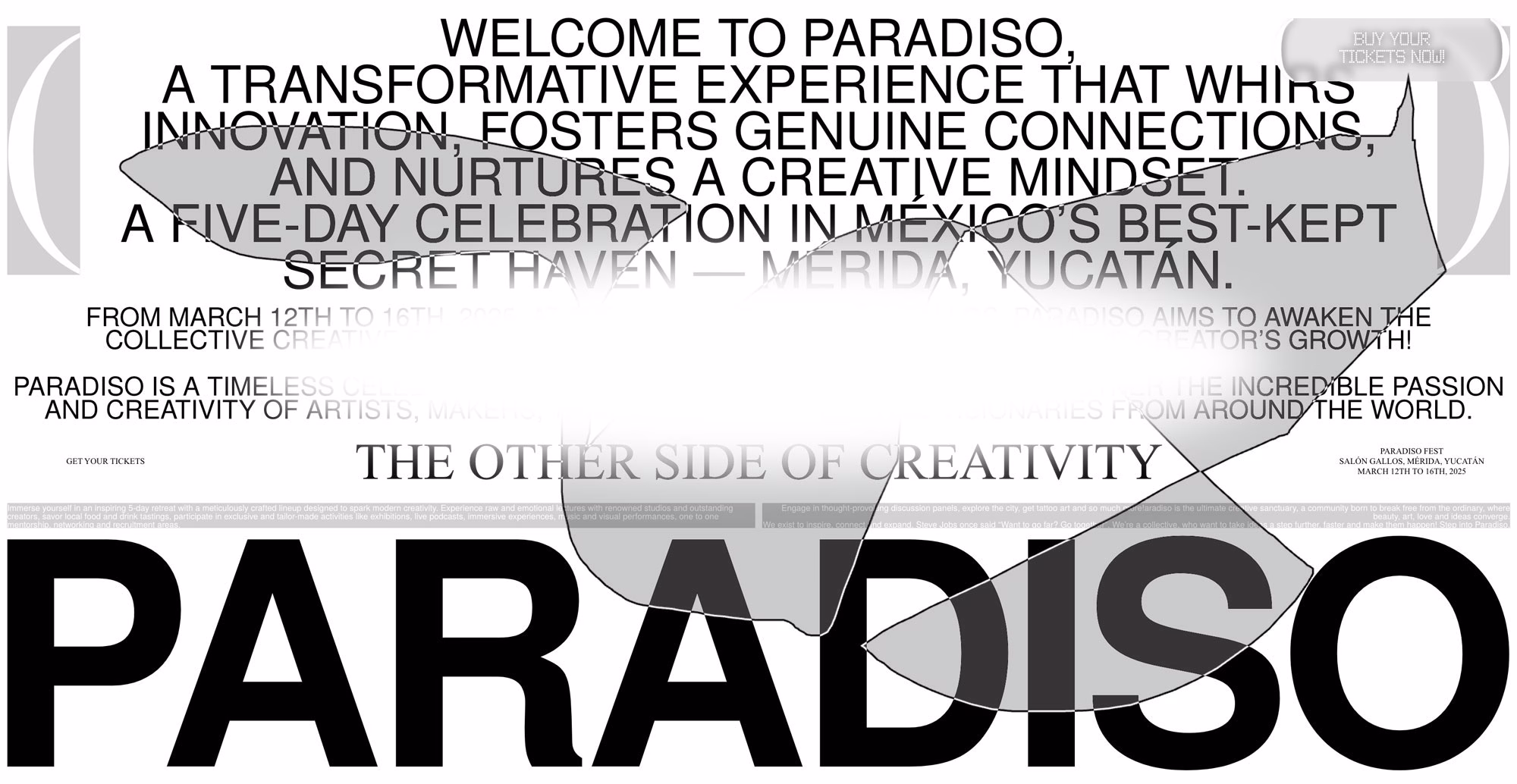 Paradiso Fest Line-up cover image