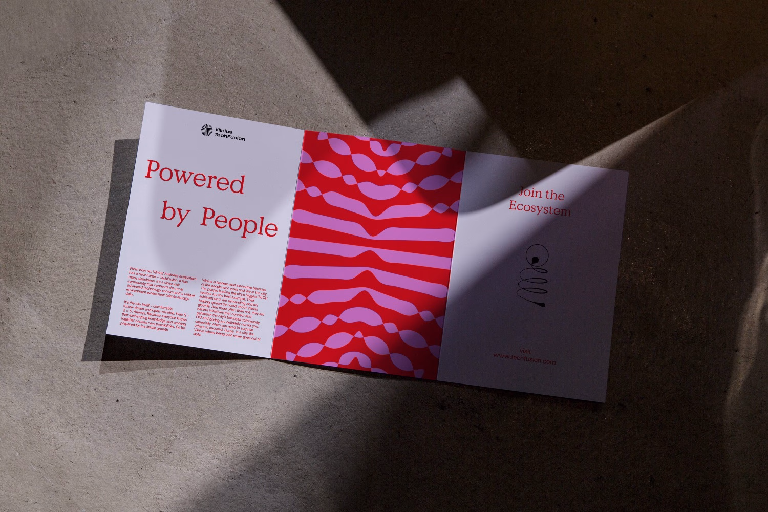 Vilnius Techfusion Visual Identity cover image