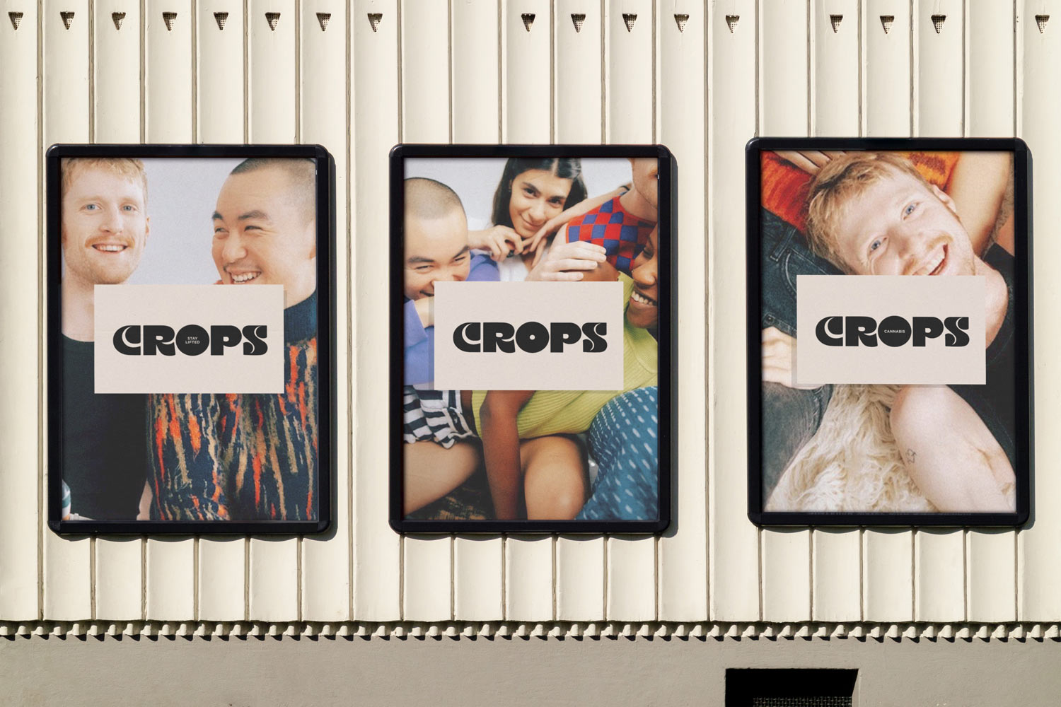 Crops cover image