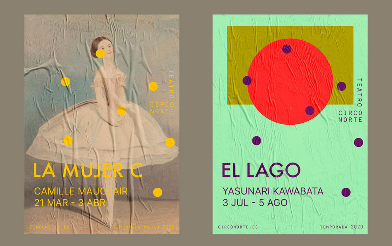 Teatro Circo Norte Identity cover image