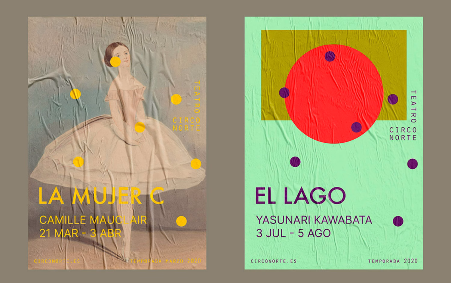 Teatro Circo Norte Identity cover image