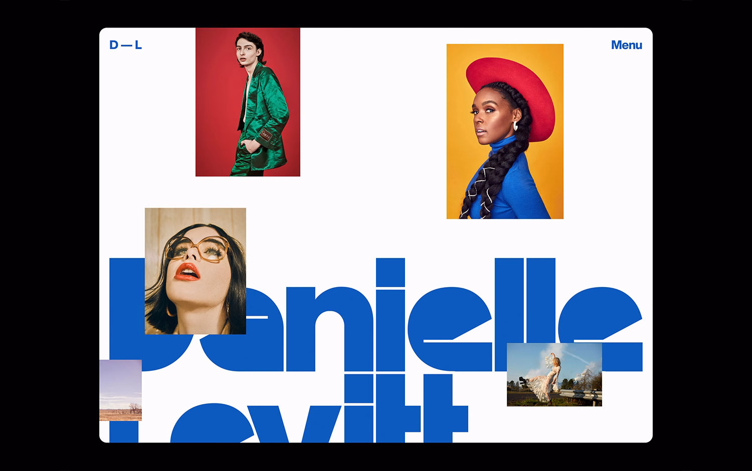 Danielle Levitt cover image