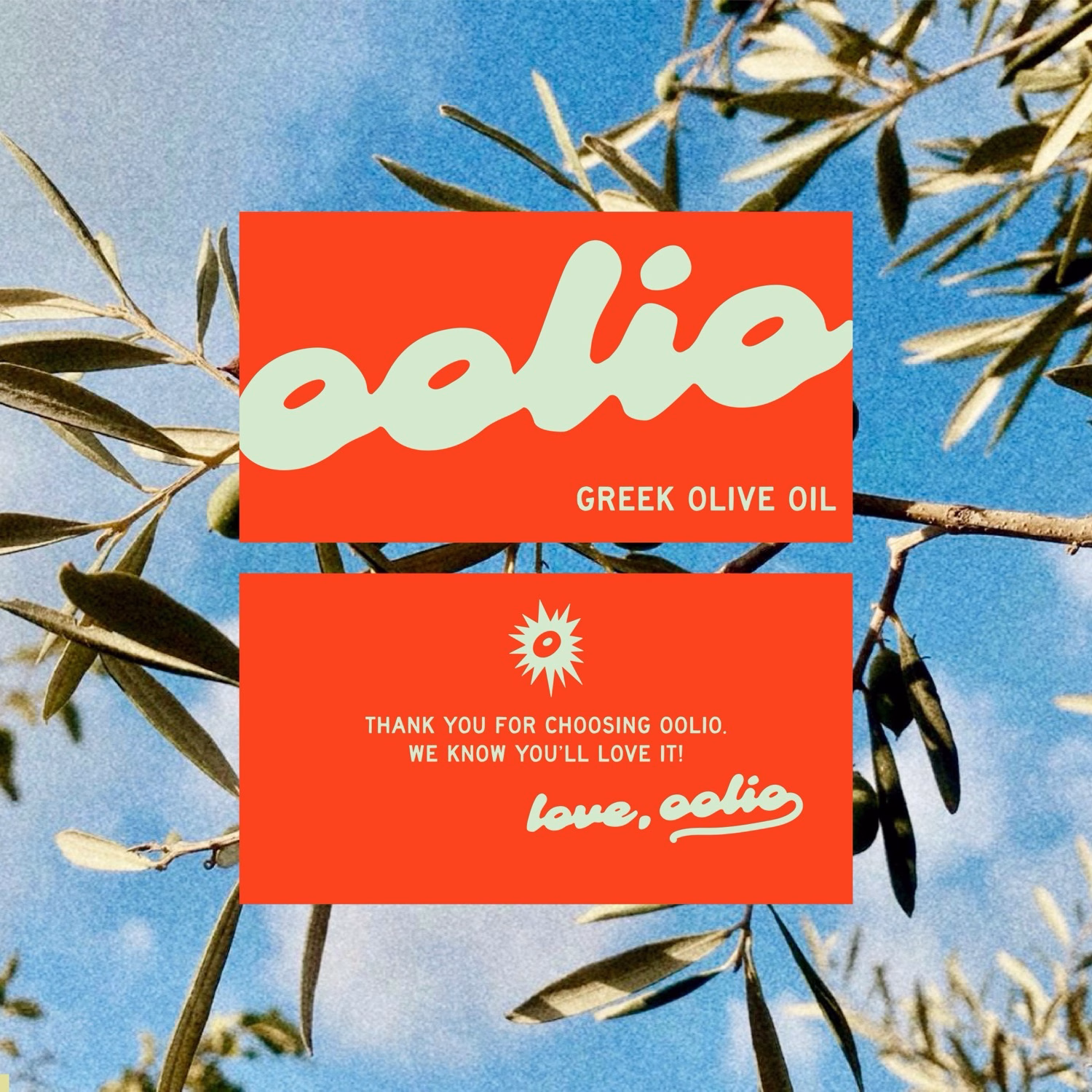 Oolio cover image