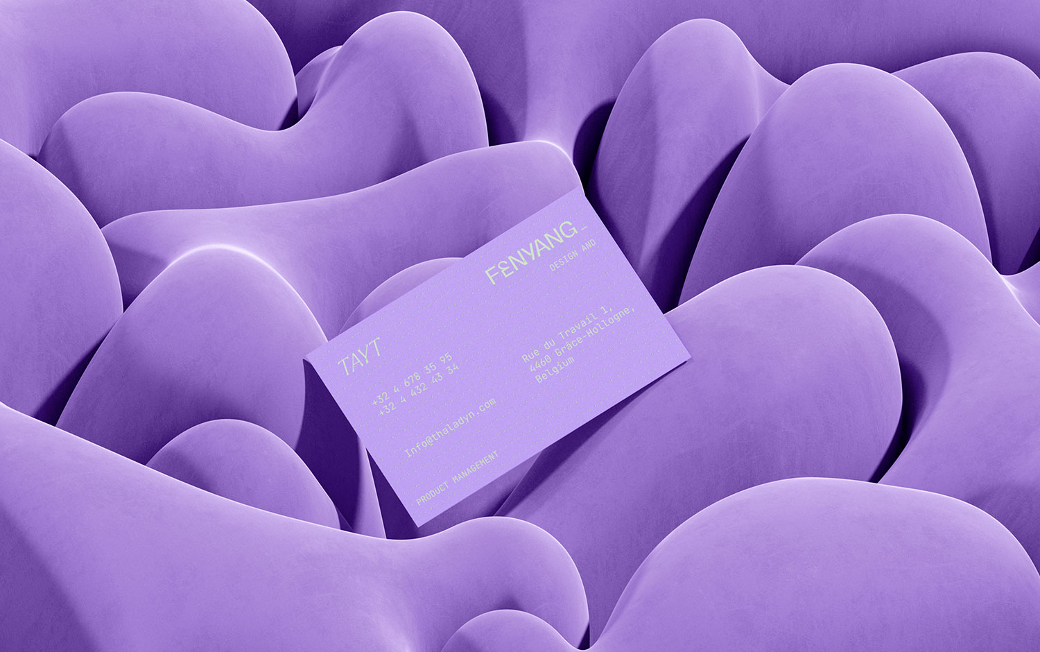 Thaladyn Brand Identity cover image