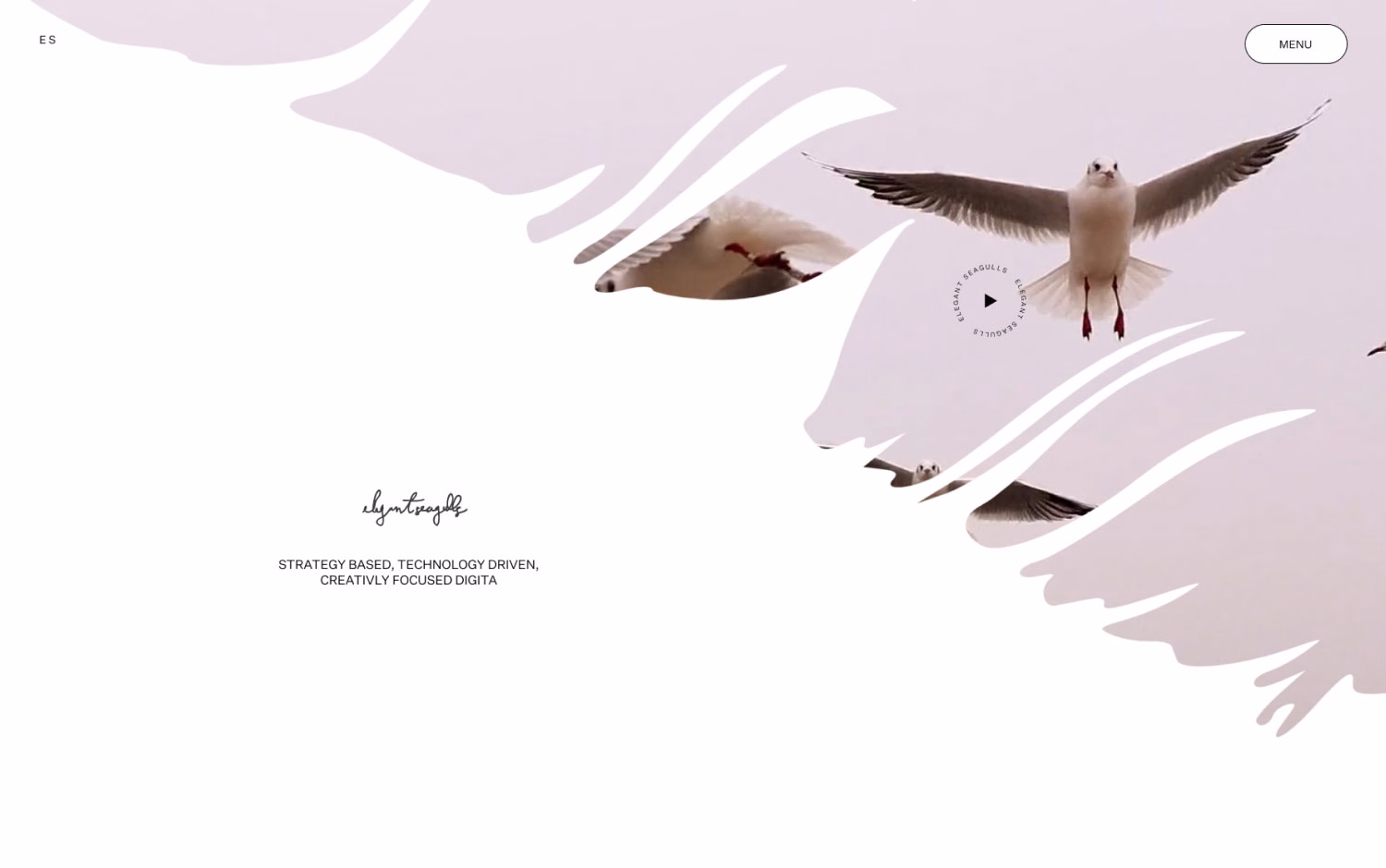 Elegant Seagulls cover image