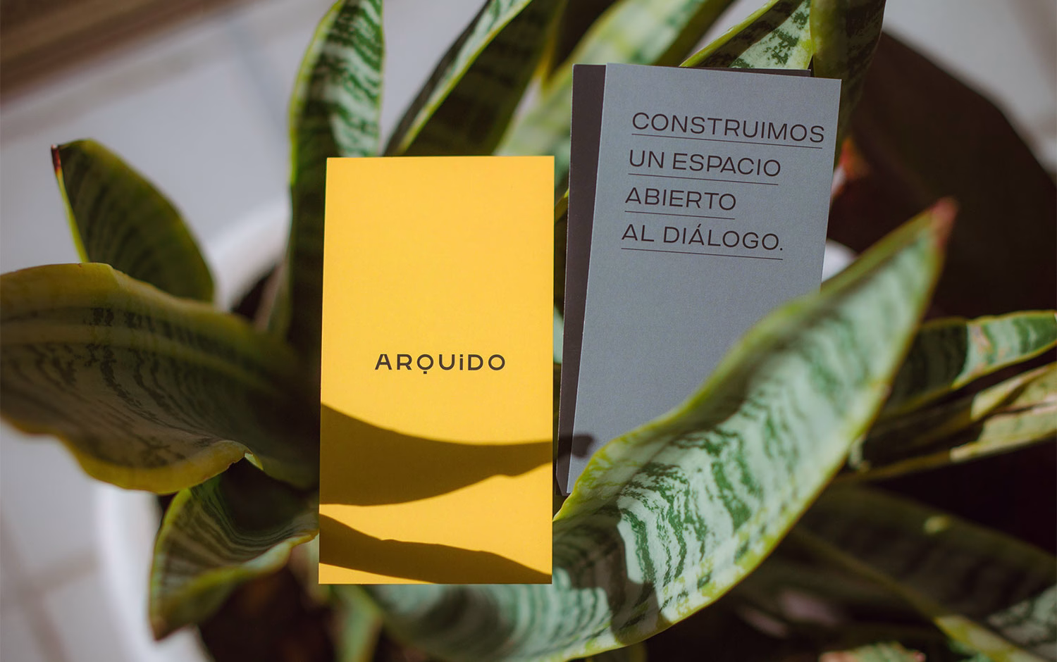 Arquido cover image
