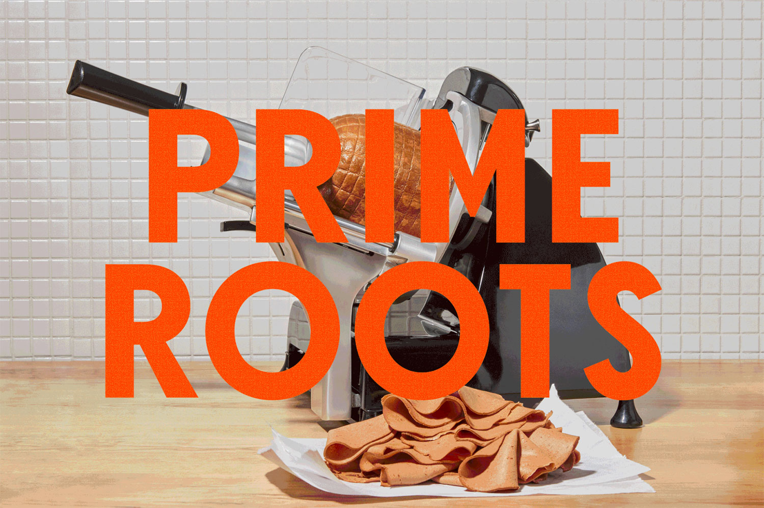 Prime Roots Identity cover image