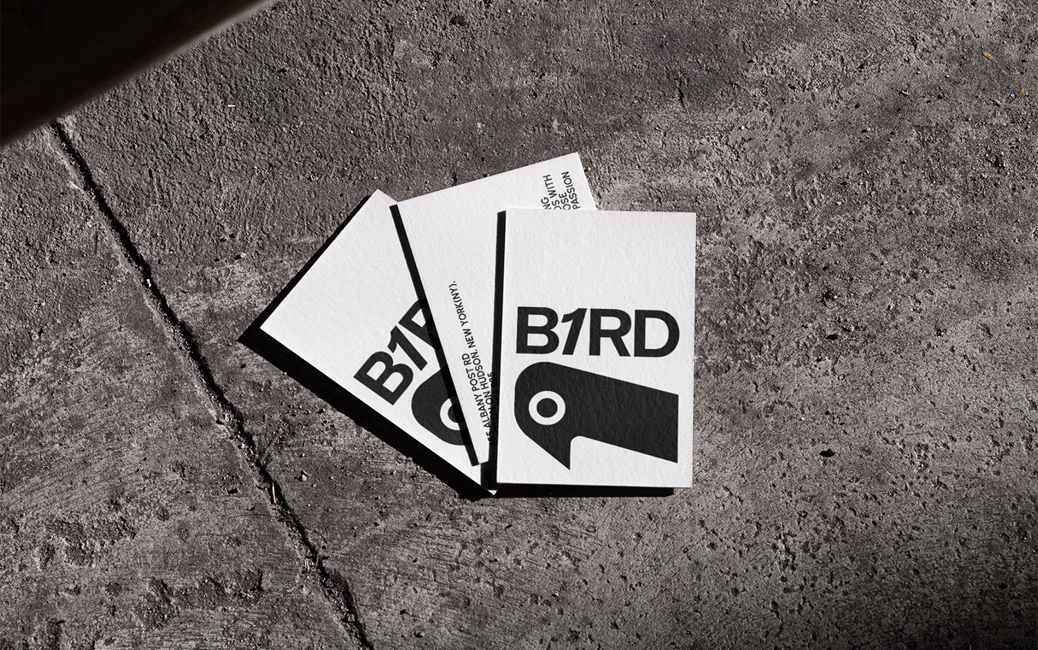 B1IRD Branding cover image