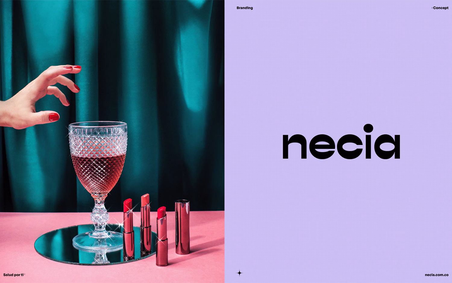 Necia Branding cover image
