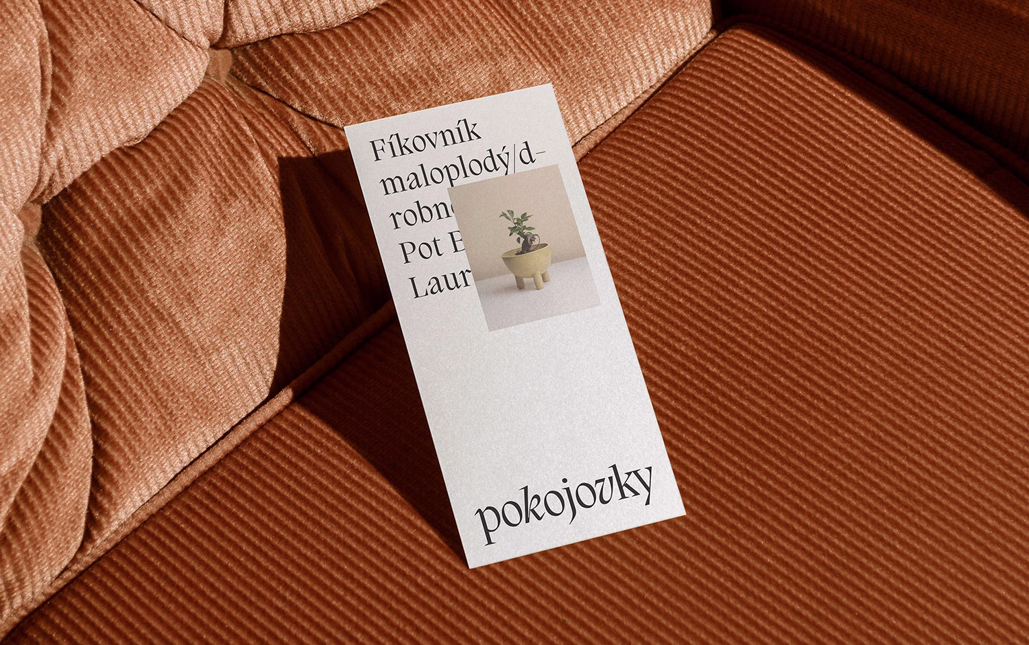 Pokojovky Brand Identity cover image