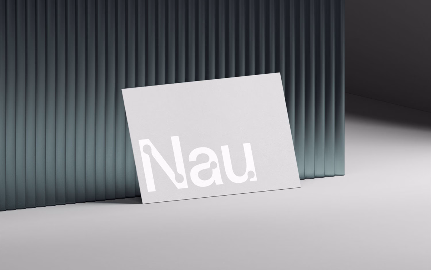 NAU Identity cover image