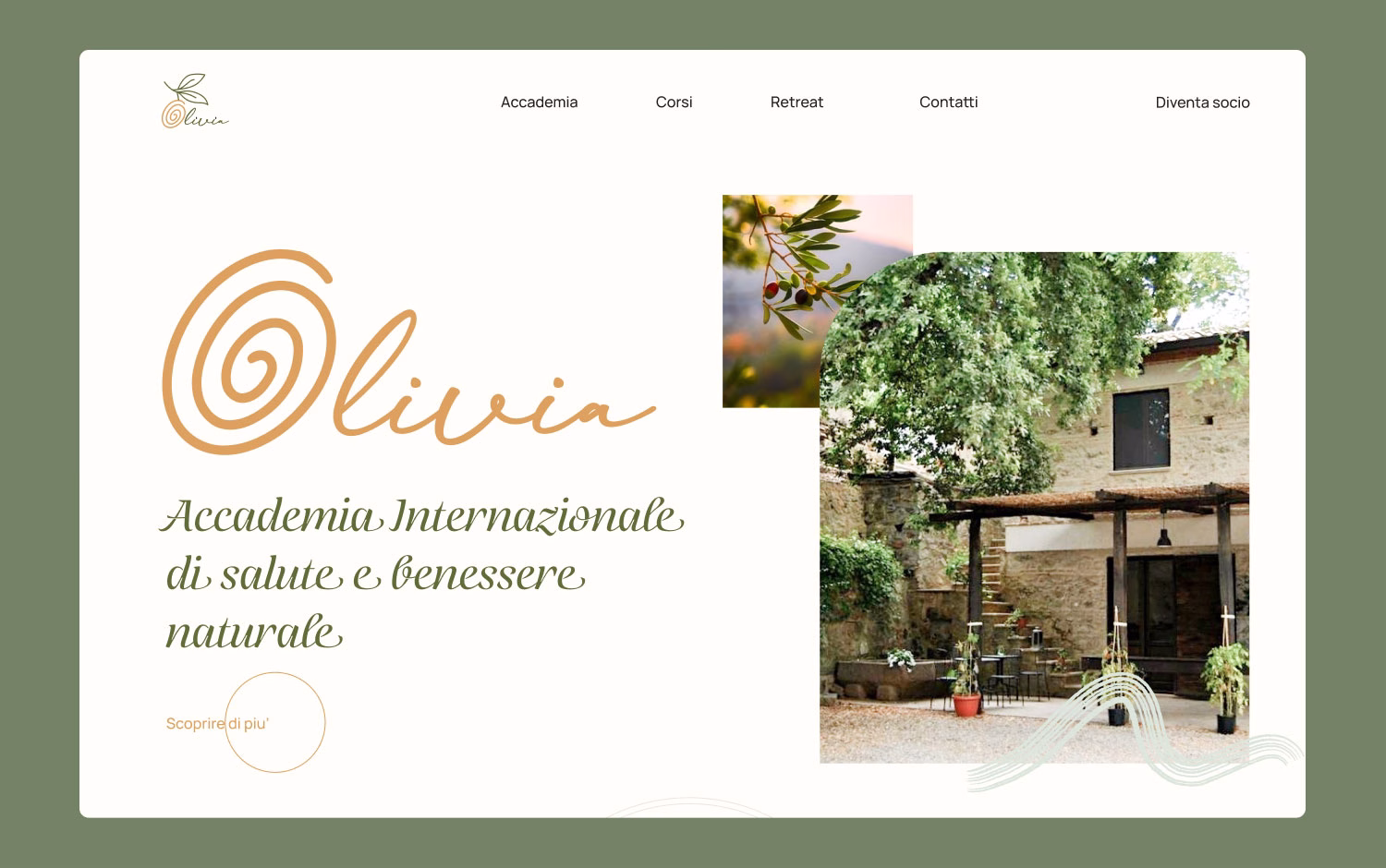 Academia Olivia in Italy cover image
