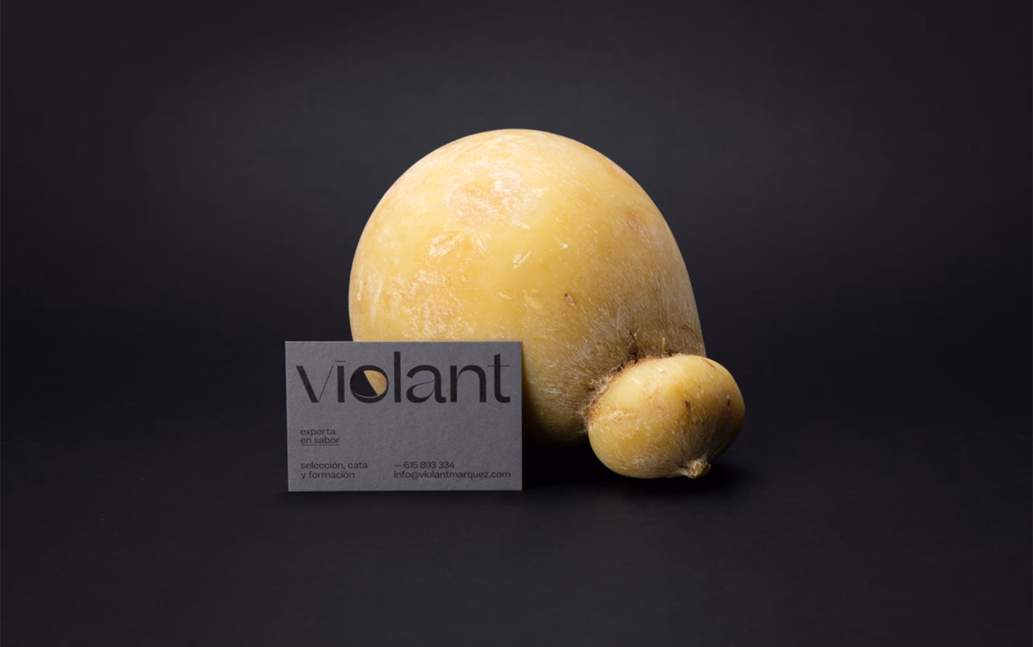 Violant cover image