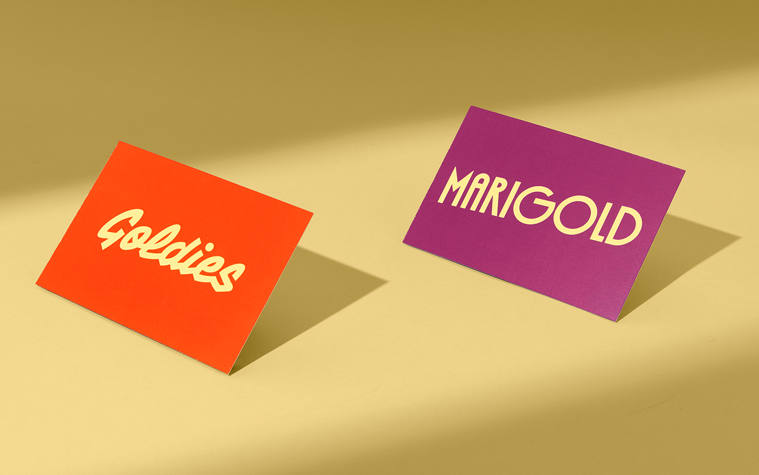 Marigold cover image