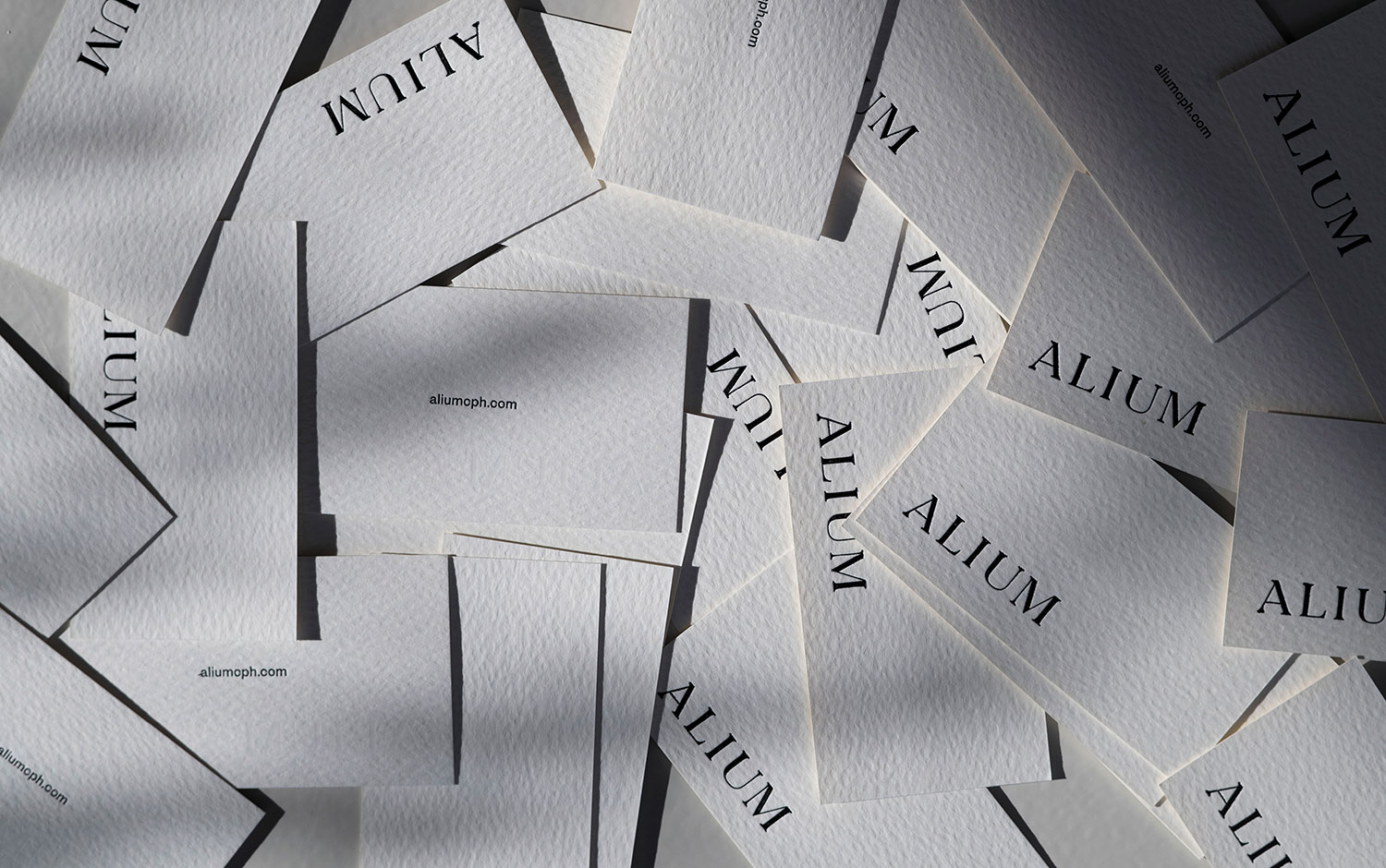 Alium Art Gallery cover image